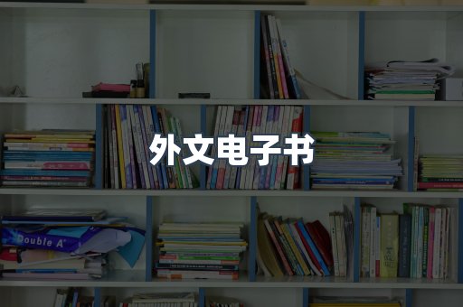 外文电子书